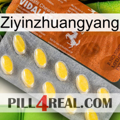 Ziyinzhuangyang 42